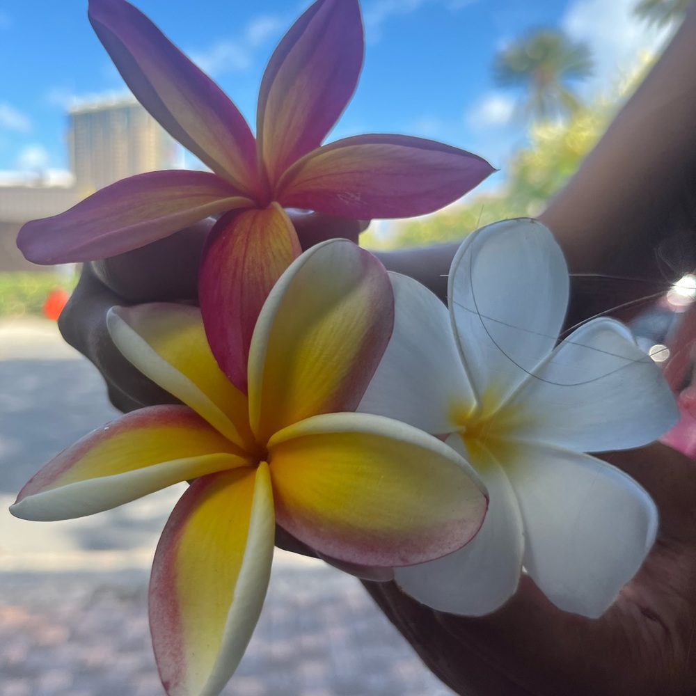 Meet your Posher,